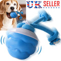 The Chase Buddy Dog Boredom Stimulating Toy  Smart Pet Puppy Ball With Ropes